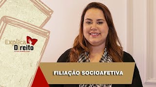 Explica Direito Filiação Socioafetiva  2019 [upl. by Brenna639]