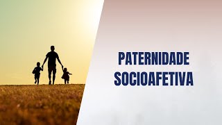 Paternidade socioafetiva [upl. by Ellon240]