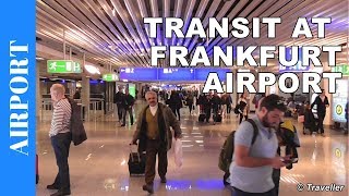 TRANSIT WALK AT FRANKFURT Airport FRA Terminal 1  Connection Flight Transfer Arriving amp Departing [upl. by Iaw]